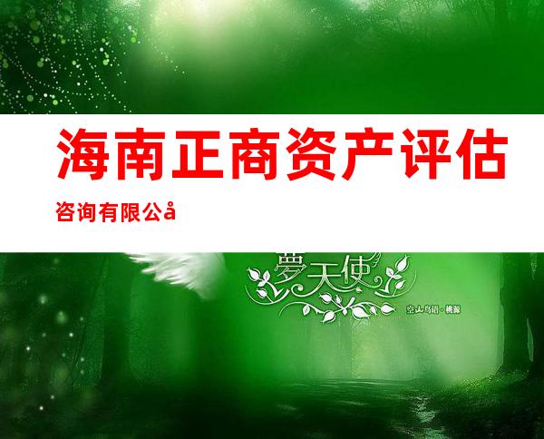 海南正商资产评估咨询有限公司